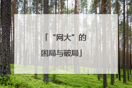 “网大”的困局与破局